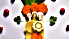 Canons de légumes