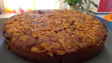 Gateau au chocolat en poudre