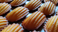 Madeleines, un classique à savourer