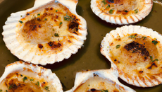 Coquilles Saint-Jacques gratinées au four