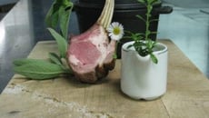 Carré et langue d'agneau, comme un navarin printanier