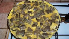 Omelette aux pleurotes