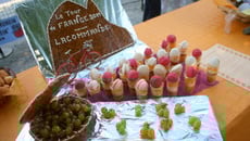 Tiramisu aux madeleines St Michel et son duo de pêches Roussane et Jurançon