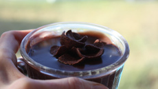 Crèmes aux chocapic (thermomix)