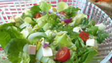Salade Fraîcheur
