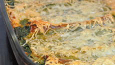 Cannellonis italiens aux épinards et ricotta