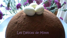 Bombe au chocolat