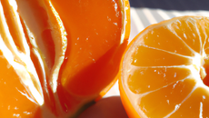 Potimarron, clémentine