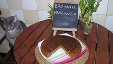 Brownie prali-noix au beurre salé