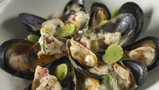 Salade de moules printanières