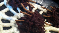 Halloween Choco Spiders