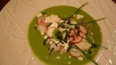 Crème glacée de petits pois, feta, fèves et radis
