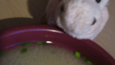 Velouté de pois cassés à la suédoise