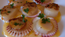 Coquilles Saint Jacques au cidre et à la crème fraîche