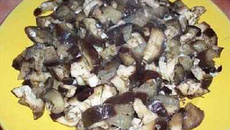 Aubergines de Monsieur Seguin