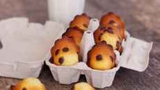Madeleines aux pépites de chocolat
