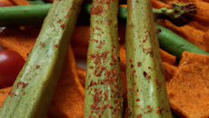 Barres aux légumes épicées