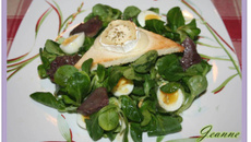 Salade de chèvre chaud et gésiers confits