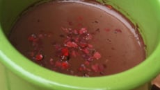 Crème au chocolat lègère aux baies roses