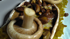 Papillote de champignons, émulsion de lard fume et noisettes torréfiées