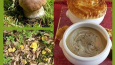 Soupe de champignons d'automne surprise