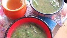 Crème de fanes au citron kéfir