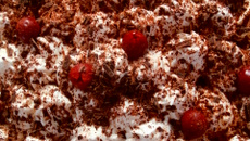 Forêt noire vanillée