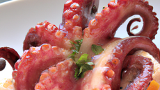 Poulpe à la méditerranéenne