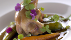 Lapin du Manoir de la Bonnerie en gelée fine