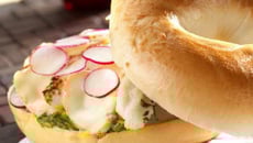 Les bagels fraîcheur de Saint Albray