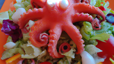 Salade poulpe de schtroumpf
