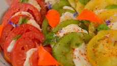 Tomates, mozzarella et basilic