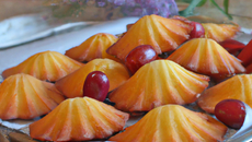 Madeleine aux cerises
