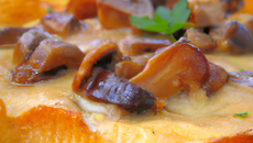 Gratin dauphinois aux girolles