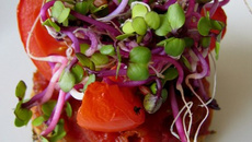 Sablé basilic, sublime de tomate et caramel d'oignons