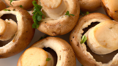 Champignons pour Pâques