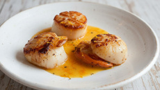 Saint jacques poêlées sauce à l'orange