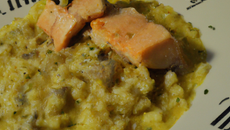 Risotto à la citronnelle et au beurre d'algue, pavé de truite des Pyrénées à l'unilatérale