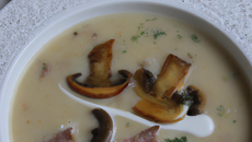 Velouté de champignons au gingembre et jambon de canard
