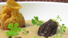 Crème de foie gras au morilles