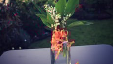 Sauce au surimi Coraya