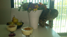 Tiramisu aux poires et au chocolat blanc