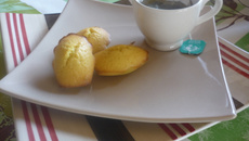 Madeleine "So' Lemon"