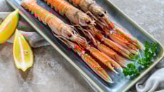 Langoustines grillées au barbecue