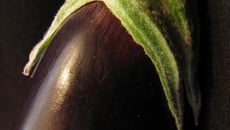 Agneau en habit d'aubergine