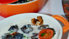 Cocotte de petits gris aux deux crèmes