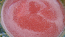 Soupe froide de melon et pasteque