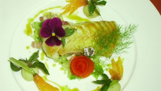 Dos de cabillaud au vinaigre de cidre garniture paysanne