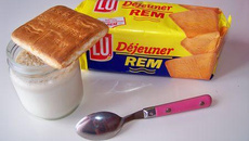 Yaourts aux Rem (biscuits lu)
