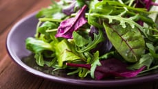 Salade de mesclun
